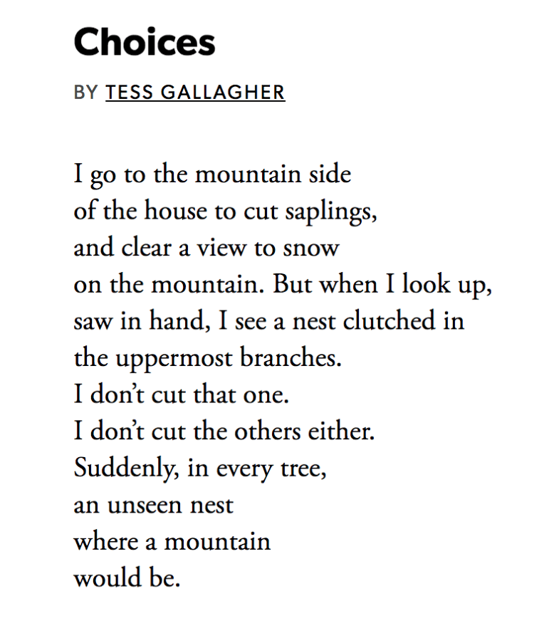 Screen Shot 2019-01-03 at 4.35.34 PM.png